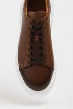 Sardinelli Forli Brown Low Top Sneakers