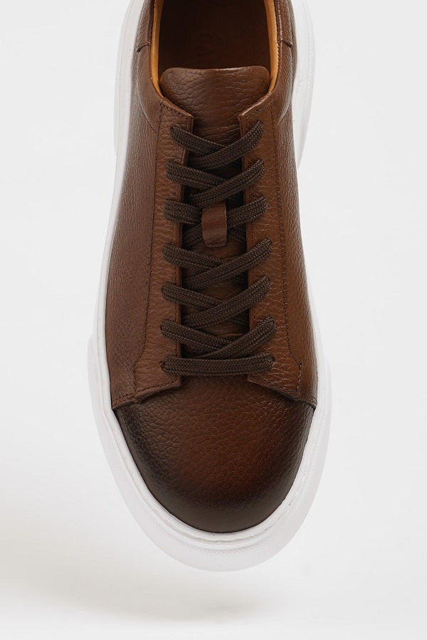 Sardinelli Forli Brown Low Top Sneakers